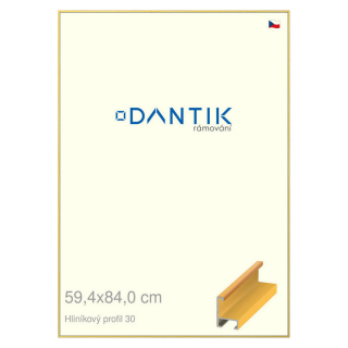 DANTIK rámeček 59,4x84 | ALU profil 6030 Dýha barevná žlutá (Plexi Čiré)