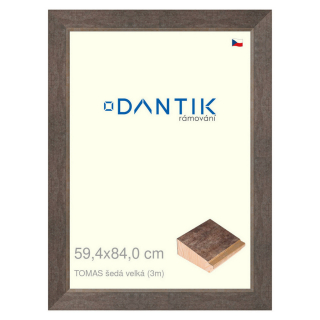DANTIK rámeček 59,4x84 | TOMAS šedá velká (Plexi Čiré)