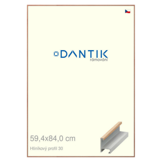 DANTIK rámeček 59,4x84 | ALU profil 6030 Dýha dub lak matný (Plexi Čiré)