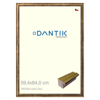 DANTIK rámeček 59,4x84 | TRITON zlatá (Plexi Čiré)