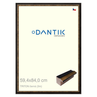 DANTIK rámeček 59,4x84 | TRITON černá (Plexi Čiré)