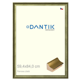 DANTIK rámeček 59,4x84 | Ferrosa zlatá (Plexi Čiré)