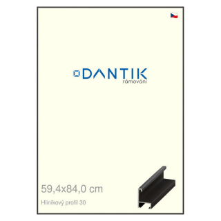 DANTIK rámeček 59,4x84 | ALU profil 6030 Dýha černá (Plexi Čiré)