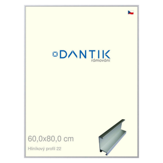 DANTIK rámeček 60x80 | ALU profil 7022 Stříbrná matná (Plexi Čiré)