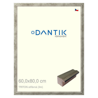 DANTIK rámeček 60x80 | TRITON stříbrná (Plexi Čiré)