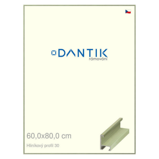 DANTIK rámeček 60x80 | ALU profil 6030 Dýha barevná zelená pastel (Plexi Čiré)