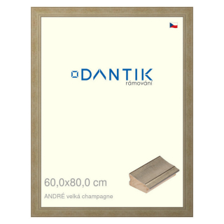 DANTIK rámeček 60x80 | ANDRÉ velká champagne (Plexi Čiré)