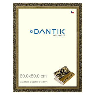 DANTIK rámeček 60x80 | Claico 2 (zlato ořechy) (Plexi Čiré)