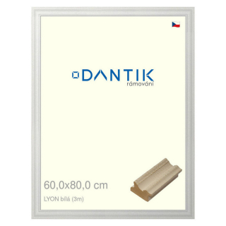 DANTIK rámeček 60x80 | LYON Bílá (Plexi Čiré)