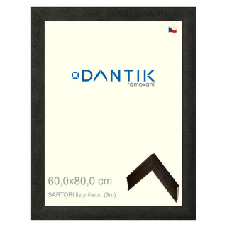 DANTIK rámeček 60x80 | SARTORI listy čer.s. (Plexi Čiré)