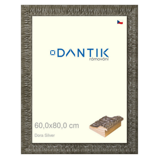 DANTIK rámeček 60x80 | Dora Silver (Plexi Čiré)