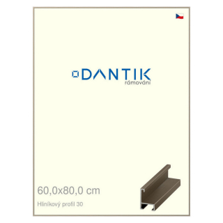 DANTIK rámeček 60x80 | ALU profil 6030 champagne (Plexi Čiré)