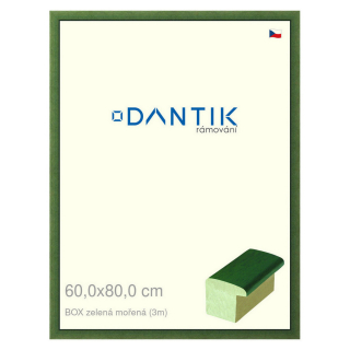 DANTIK rámeček 60x80 | BOXzelená mořená (Plexi Čiré)