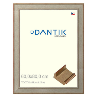 DANTIK rámeček 60x80 | TOOTH stříbrná (Plexi Čiré)