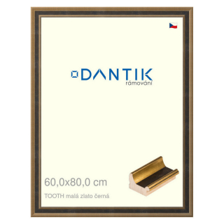 DANTIK rámeček 60x80 | TOOTH malá zlato černá (Plexi Čiré)
