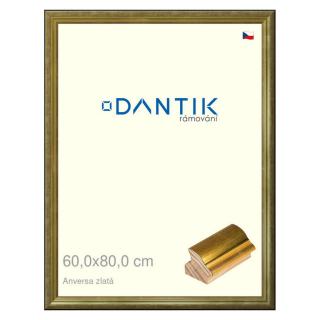 DANTIK rámeček 60x80 | ANIVERSA zlatá (Plexi Čiré)