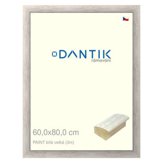 DANTIK rámeček 60x80 | PAINT bílá velká (Plexi Čiré)