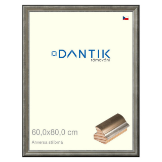 DANTIK rámeček 60x80 | ANIVERSA stříbrná (Plexi Čiré)