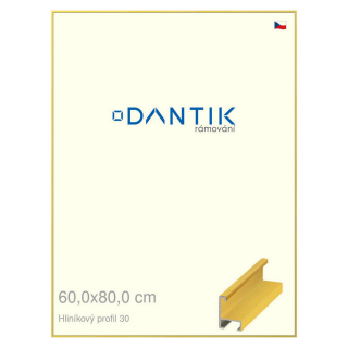 DANTIK rámeček 60x80 | ALU profil 6030 Dýha barevná žlutá citrus (Plexi Čiré)