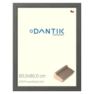 DANTIK rámeček 60x80 | STEP tmavěšedá (Plexi Čiré)