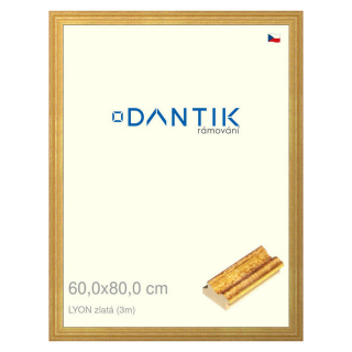 DANTIK rámeček 60x80 | LYON zlatá (Plexi Čiré)