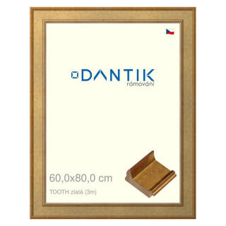 DANTIK rámeček 60x80 | TOOTH zlatá (Plexi Čiré)