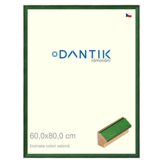 DANTIK rámeček 60x80 | INCLINATA colori zelená (Plexi Čiré)