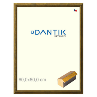 DANTIK rámeček 60x80 | Forgia Gold (Plexi Čiré)