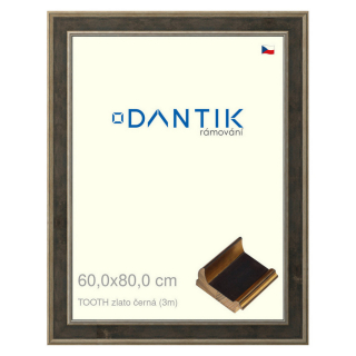 DANTIK rámeček 60x80 | TOOTH zlato černá (Plexi Čiré)