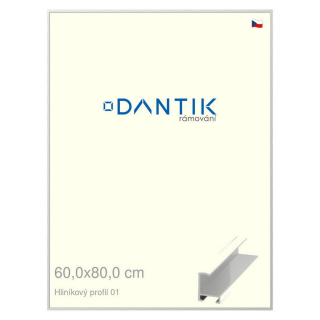 DANTIK rámeček 60x80 | ALU profil 6001 Stříbrná lesklá (Plexi Čiré)