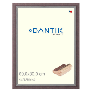DANTIK rámeček 60x80 | AMALFI fialová (Plexi Čiré)