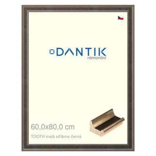 DANTIK rámeček 60x80 | TOOTH malá stříbrno černá (Plexi Čiré)