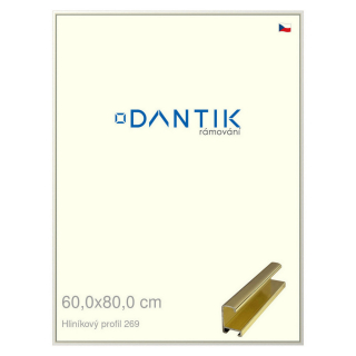 DANTIK rámeček 60x80 | ALU profil 7269 Zlatá lesklá (Plexi Čiré)