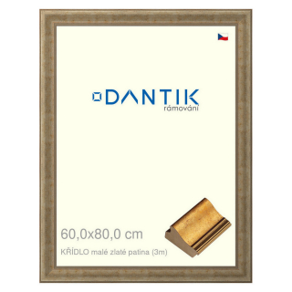DANTIK rámeček 60x80 | KŘÍDLO malé zlaté patina (Plexi Čiré)