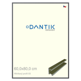 DANTIK rámeček 60x80 | ALU profil 7003 Platina matná (Plexi Čiré)