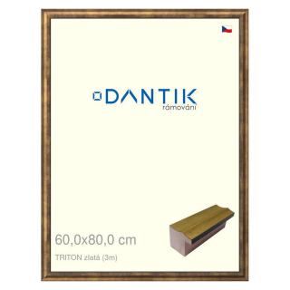 DANTIK rámeček 60x80 | TRITON zlatá (Plexi Čiré)