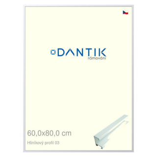 DANTIK rámeček 60x80 | ALU profil 7003 Bílá matná (Plexi Čiré)