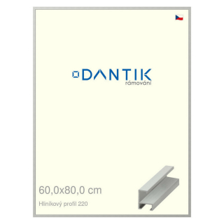 DANTIK rámeček 60x80 | ALU profil 6220 Stříbrná matná (Plexi Čiré)