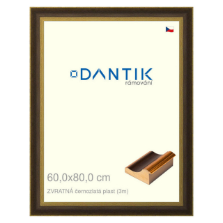 DANTIK rámeček 60x80 | ZVRATNÁ černozlatá plast (Plexi Čiré)