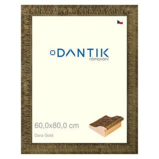 DANTIK rámeček 60x80 | Dora Gold (Plexi Čiré)