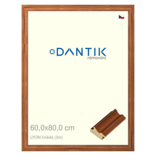 DANTIK rámeček 60x80 | LYON hnědá (Plexi Čiré)
