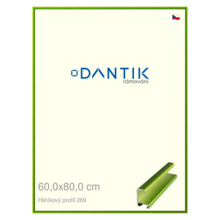 DANTIK rámeček 60x80 | ALU profil 7269 Zelená Smaragd broušená (Plexi Čiré)