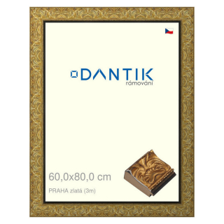 DANTIK rámeček 60x80 | PRAHA zlatá (Plexi Čiré)