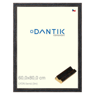 DANTIK rámeček 60x80 | LYON černá (Plexi Čiré)