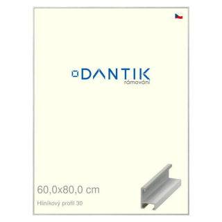 DANTIK rámeček 60x80 | ALU profil 6030 Dýha barevná šedá světlá (Plexi Čiré)