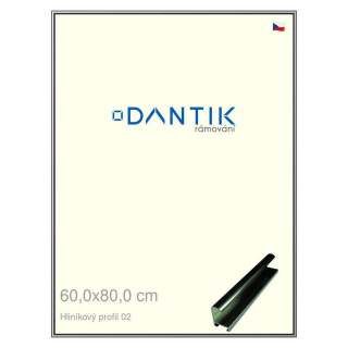 DANTIK rámeček 60x80 | ALU profil 7002 Šedá leská (Plexi Čiré)