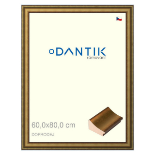 DANTIK rámeček 60x80 | Doprodej | METAL AU prohlá velká (Plexi Čiré)