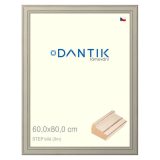 DANTIK rámeček 60x80 | STEP bílá (Plexi Čiré)