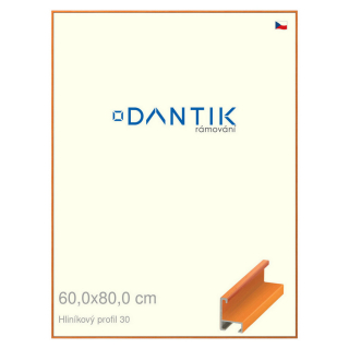DANTIK rámeček 60x80 | ALU profil 6030 Dýha barevná oranžová (Plexi Čiré)