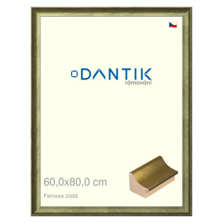 DANTIK rámeček 60x80 | Ferrosa zlatá (Plexi Čiré)